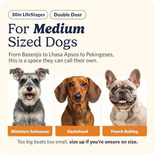 LifeStages double door medium breed crate 30 in — photo 3