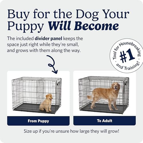 iCrate double door medium breed crate 30 in — photo 3