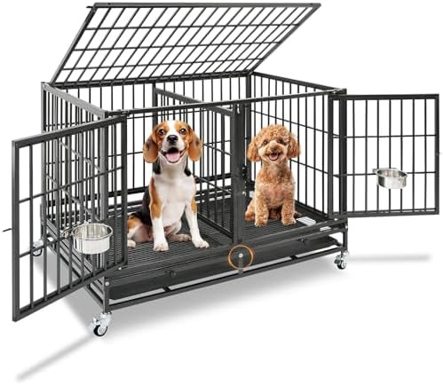 Stackable double dog crate with divider panel