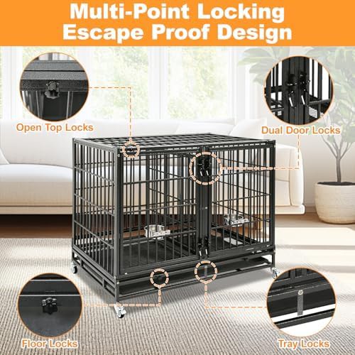 Taller heavy duty double dog crate with divider — photo 4