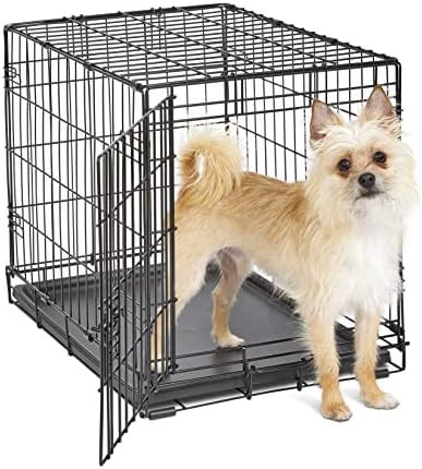 Small Single Door Crate with Divider