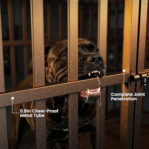 48 inch heavy duty steel dog crate — photo 3