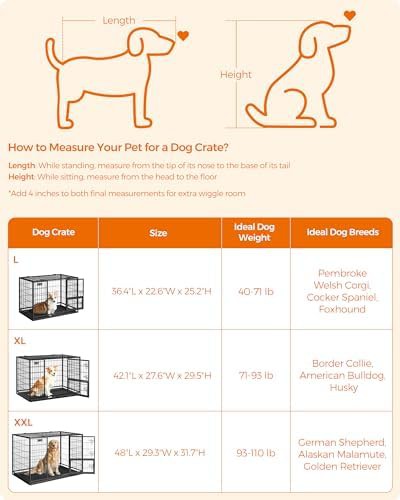 Metal wire large breed 48 inch dog crate — photo 5
