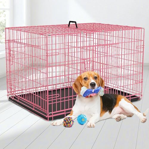 Buy Best Shop