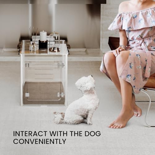 Clear acrylic furniture style dog kennel — photo 4