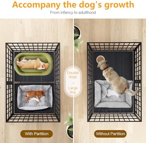 42 inch heavy duty dog kennel with divider — photo 3