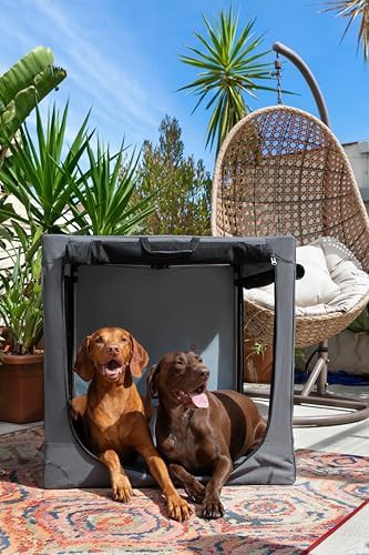 Collapsible Travel Dog Crate with Pet Mat 42 in — photo 3