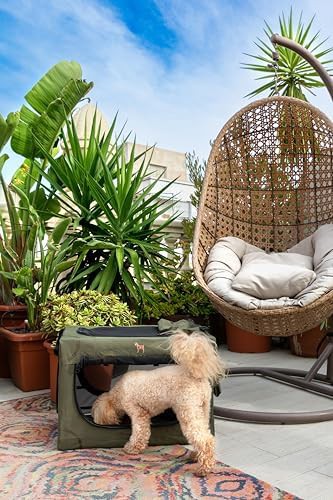 Small Steel Frame Collapsible Dog Crate 26 in — photo 3
