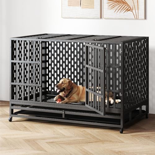 48 inch high anxiety steel kennel