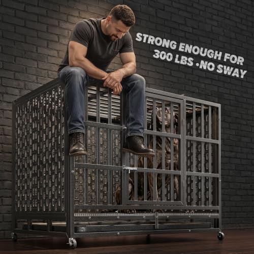 48 inch high anxiety steel kennel — photo 5