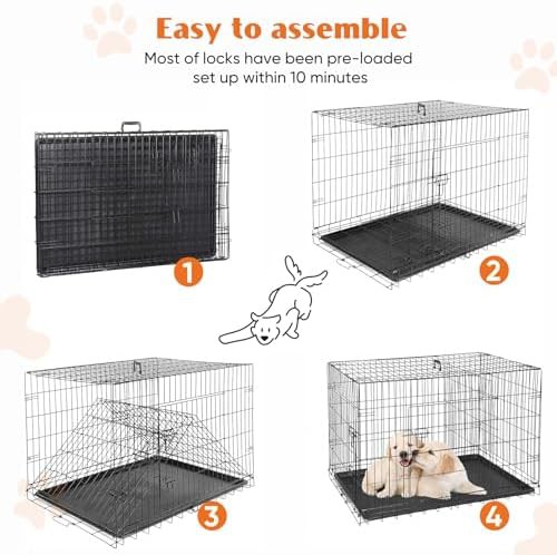 Collapsible metal medium dog cage 36 inch — photo 5