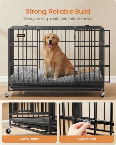 Foldable heavy duty double door dog crate — photo 5
