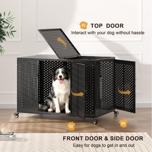 Heavy Duty Steel High Anxiety Dog Crate 48 in — photo 5